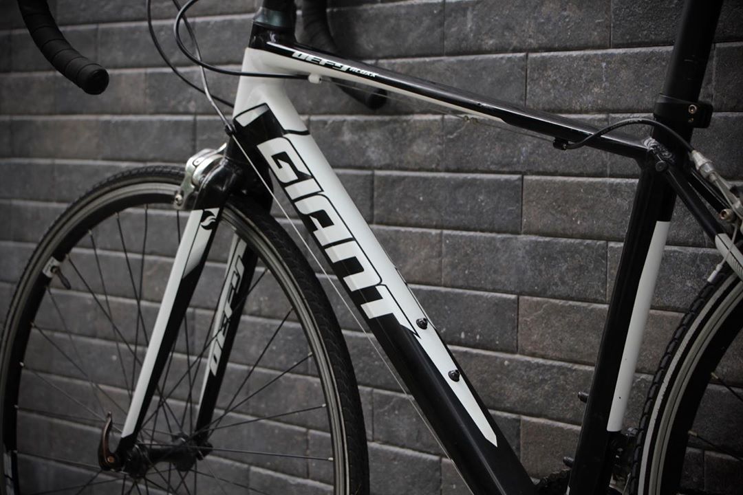 Giant Defy 5 53cm "S