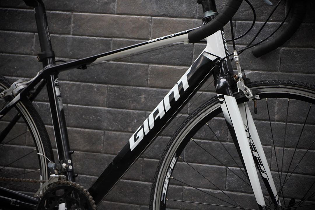 Giant Defy 5 53cm "S