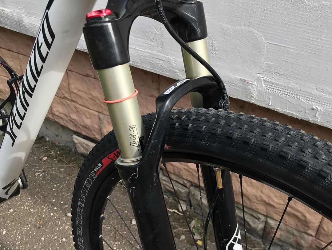 SPECIALIZED STUMPJUMPER CARBON 29 "L