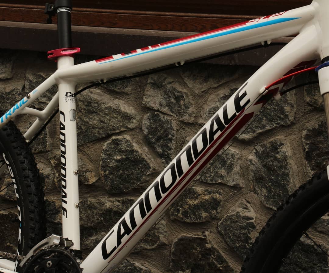 Cannondale Trail SL 2 "L