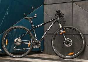 Cannondale Trail 2 "M