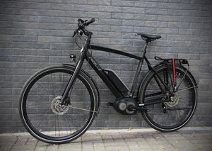 Gazelle Cityzen c8 "L